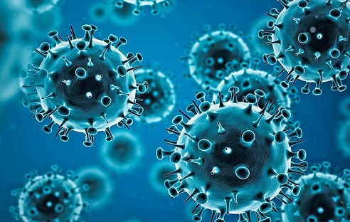 992X312-PAG-coronavirus-2 SARS-CoV-2