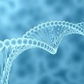 artificial-intelligence-flickr-310px Genome