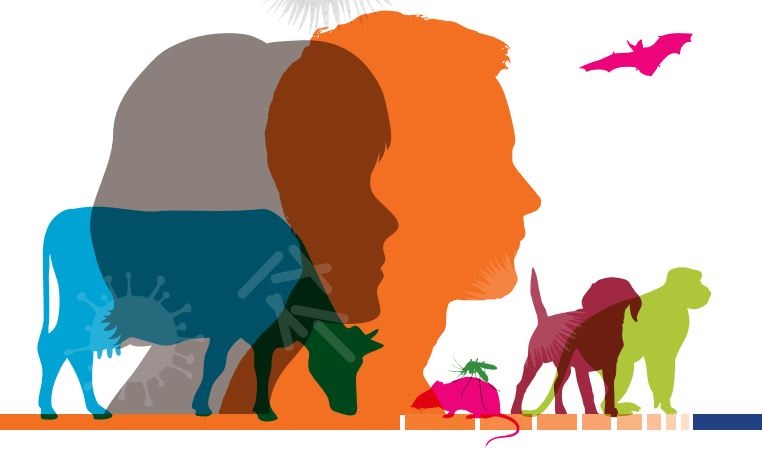 NBW_wide Illustration of humans and animals