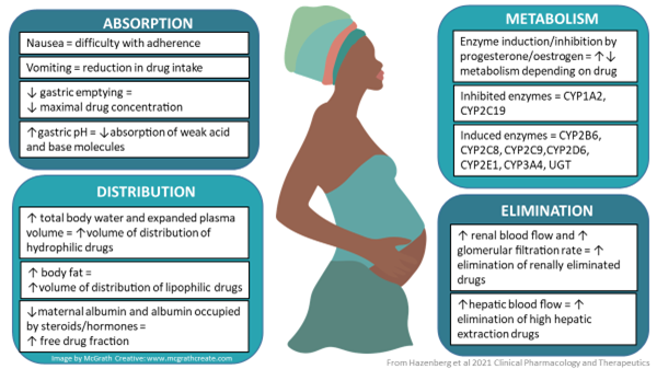 pregnancy-metabolism-changes-fig1 Figure showing the changes in absorption, distribution, metabolism/biotransformation and excretion  during pregnancy