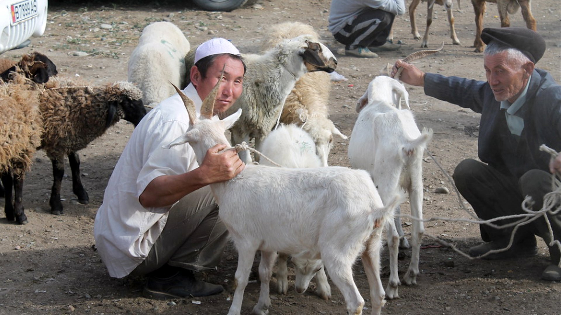 4104647362_9cef27f037_o