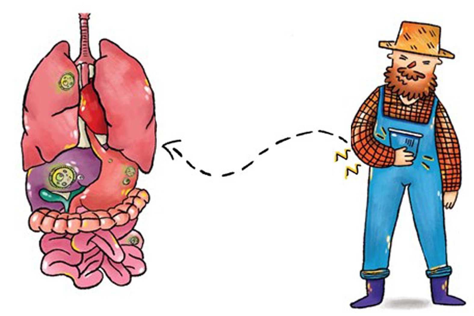 Awareness campaigns on dog-related zoonoses for children, clinicians and the public – A simple and colorful illustration of CE.