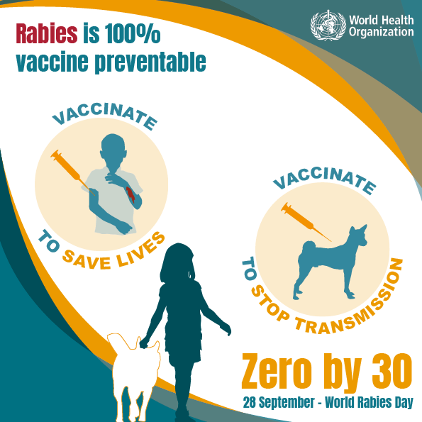 Rabies is 100% vaccine preventable