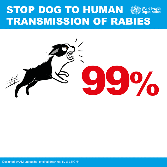 Rabies prevention Rabies prevention