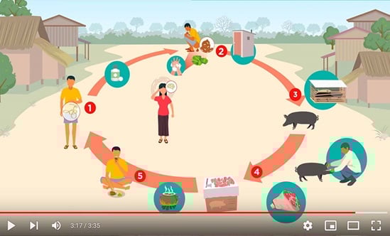 Подход «Одного здоровья» к борьбе со свиным цепнем (русский)