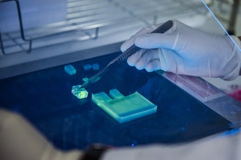 COVID-19 Thailand A laboratory technician cuts a piece of gel