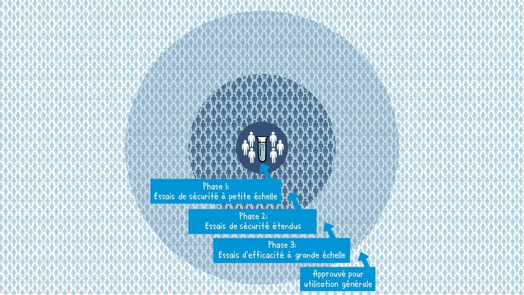 Topic Two CIinical Trials_Static fr Illustration sur les différentes étapes du développement d'un vaccin