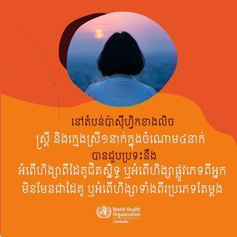 1 in 4 of women and girls have experienced violence