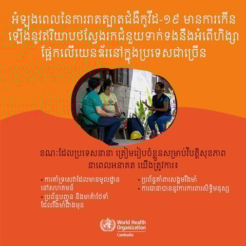 What countries need in order for them to be prepared for future health crises