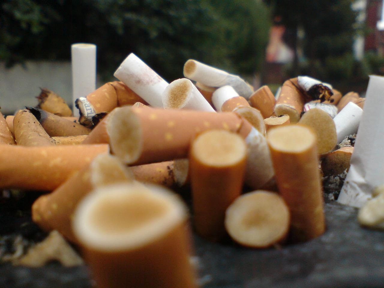 tobacco control cigarette tips tobacco control cigarette tips