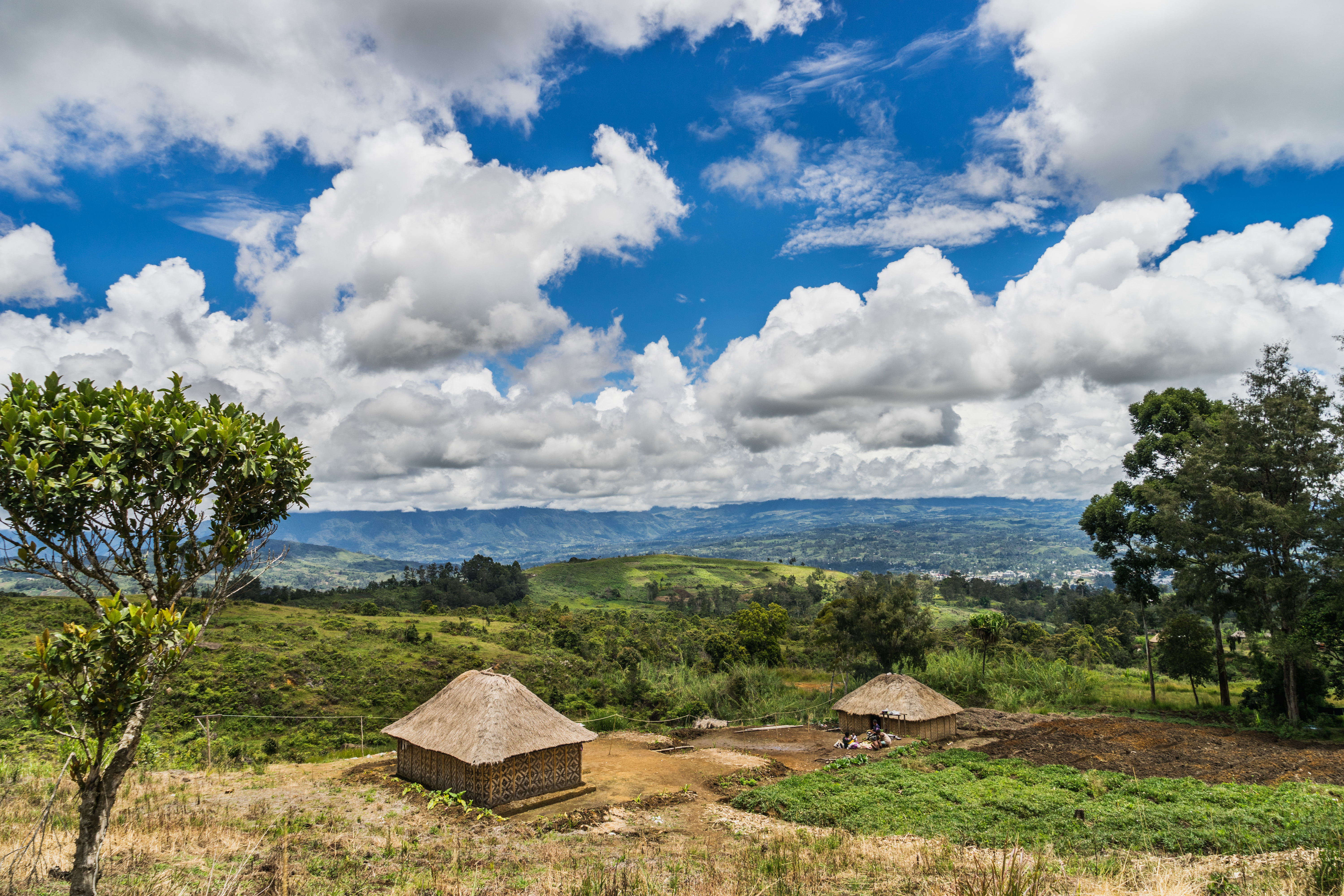 F23_090042016_PN_01914 F23_090042016_PN_01914